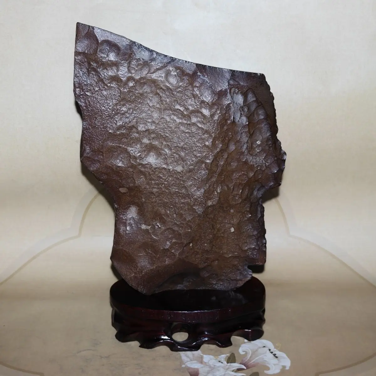 Pictographic pure natural boutique rough stone ornament Qishi study collection