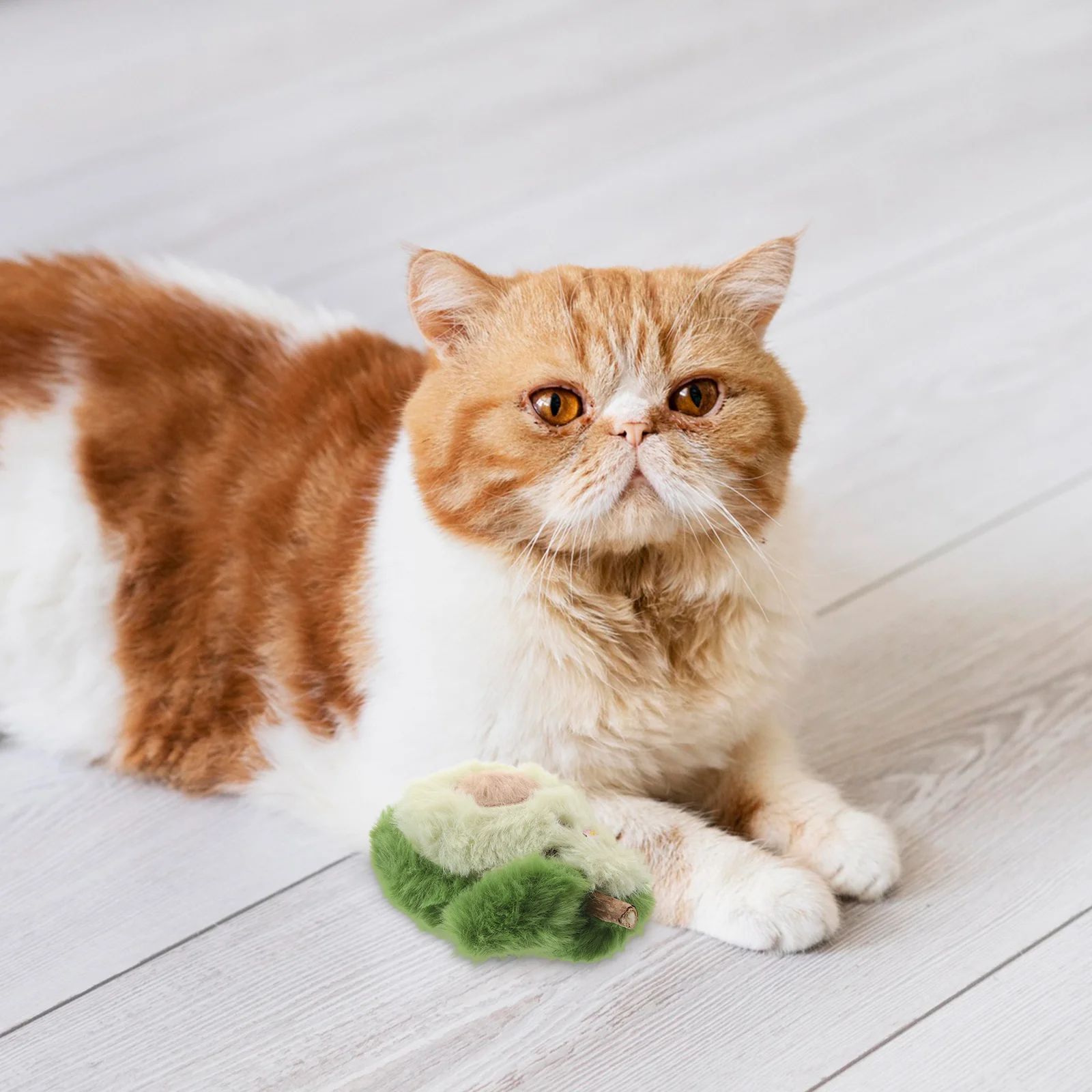 

Cat and Accessories for Indoor Cats Chewing Sticks Cute Bite Resistant Stuff Kitten