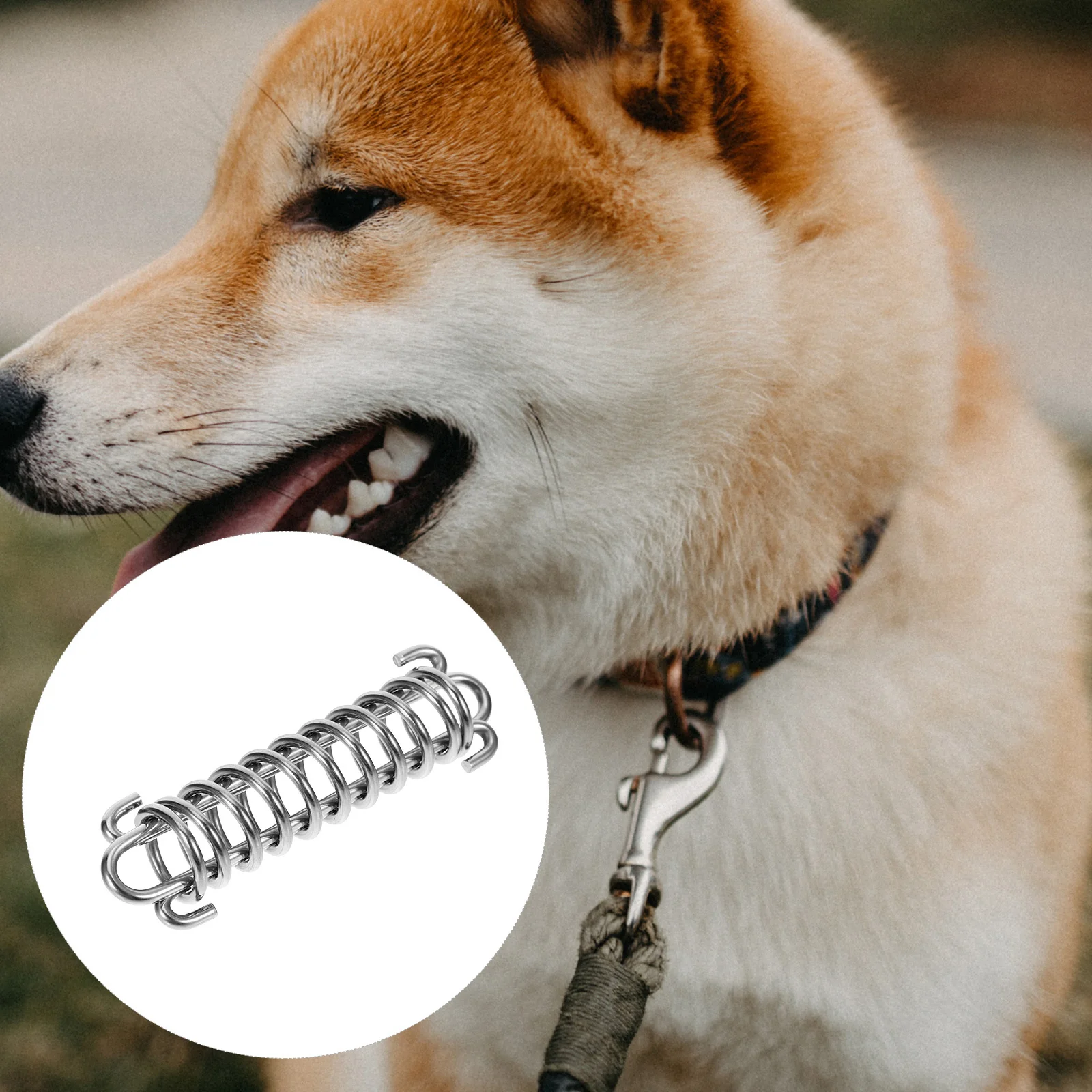

Stainless Steel Dog Leash Spring Heavy Duty Tension Shock Absorbing Bungee For Large Dogs Outdoor Walking Pet Training