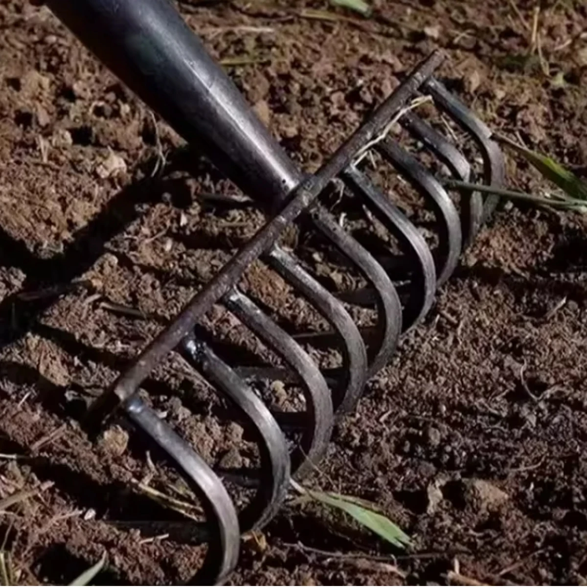 Nine-tooth Nail Rake Garden Head Replacement Herb Rakes for the Orchard Dethatcher Tines Rateaux Steel Lawn