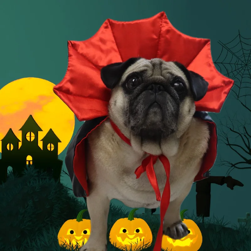 Conjunto de disfraces de Halloween para mascotas, ropa festiva de gato, perro, bruja, vampiro, capa, bonito, Kawaii, nuevo, 5 piezas