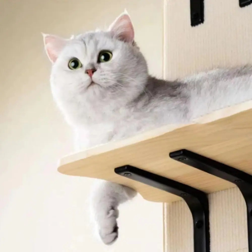 Настенная лестница для кошек со съемным ковриком, домашним кошачьим деревом и дверной подвесной полкой для скалолазания