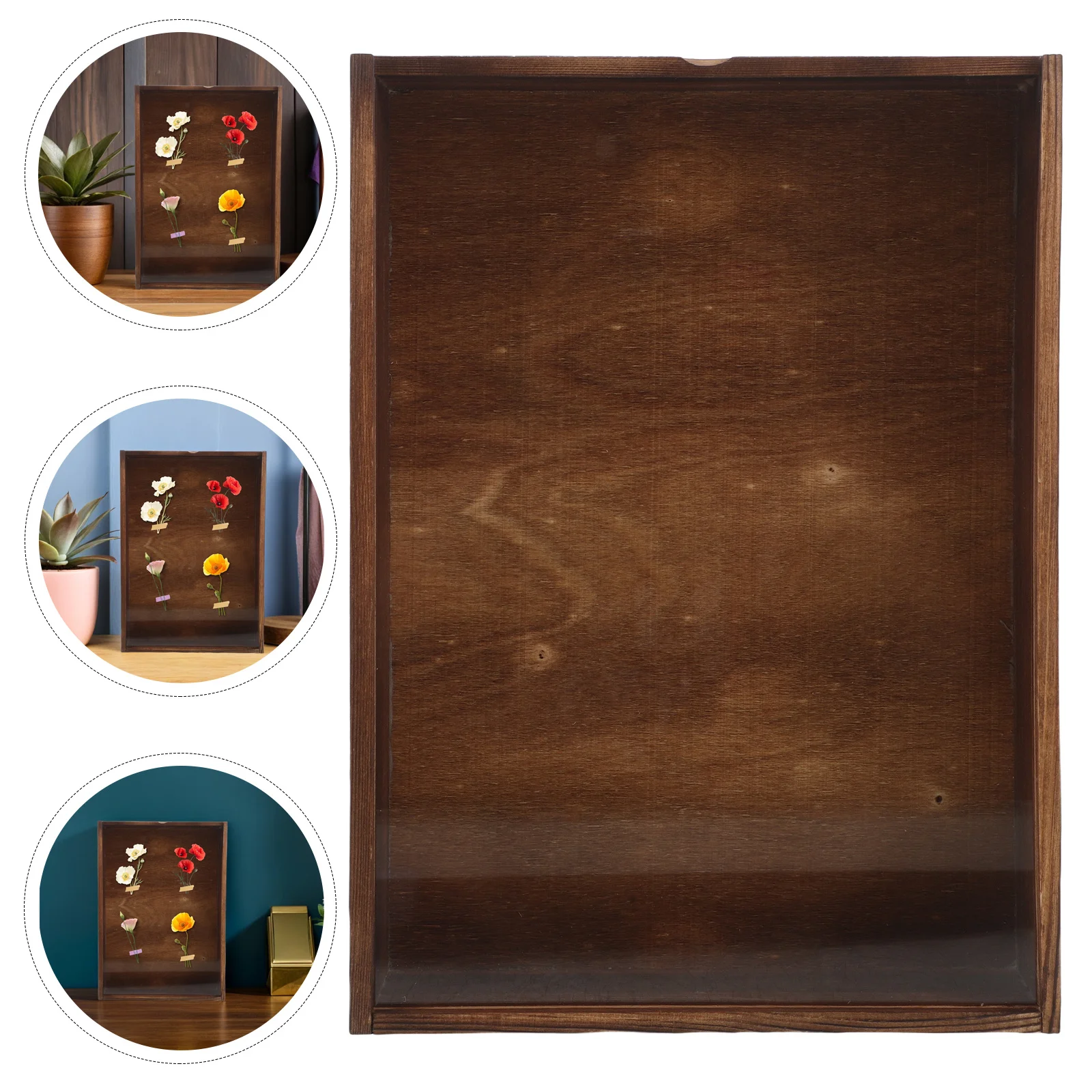 

Butterfly Specimen Display Case Wooden Insect Shadow Box 360 Degree Visibility Dried Flower Frame Bug Collection Display Case