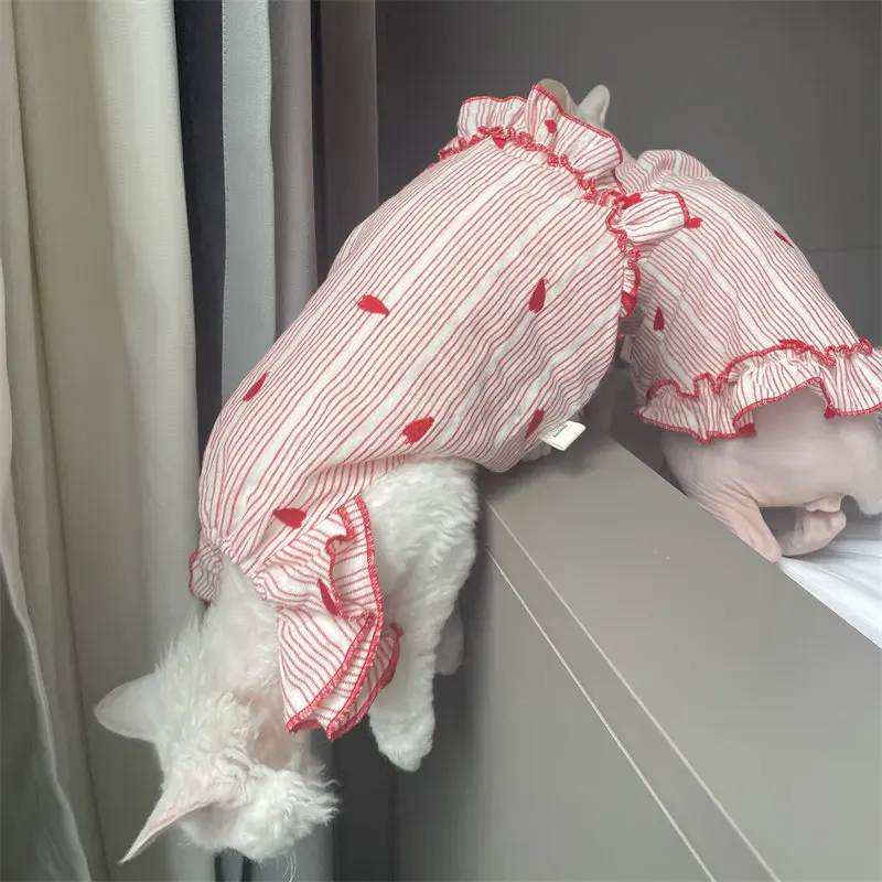 Vestido de algodón para gatos Devon Rex y Sphynx con cuello de encaje - imagen 2