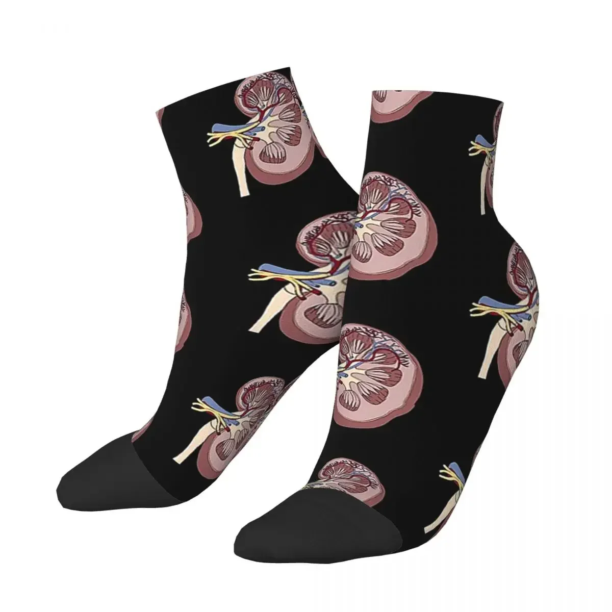 Kidney Anatomy Socks Harajuku Super Soft Stockings All Season Socks Accessories for Unisex Gifts