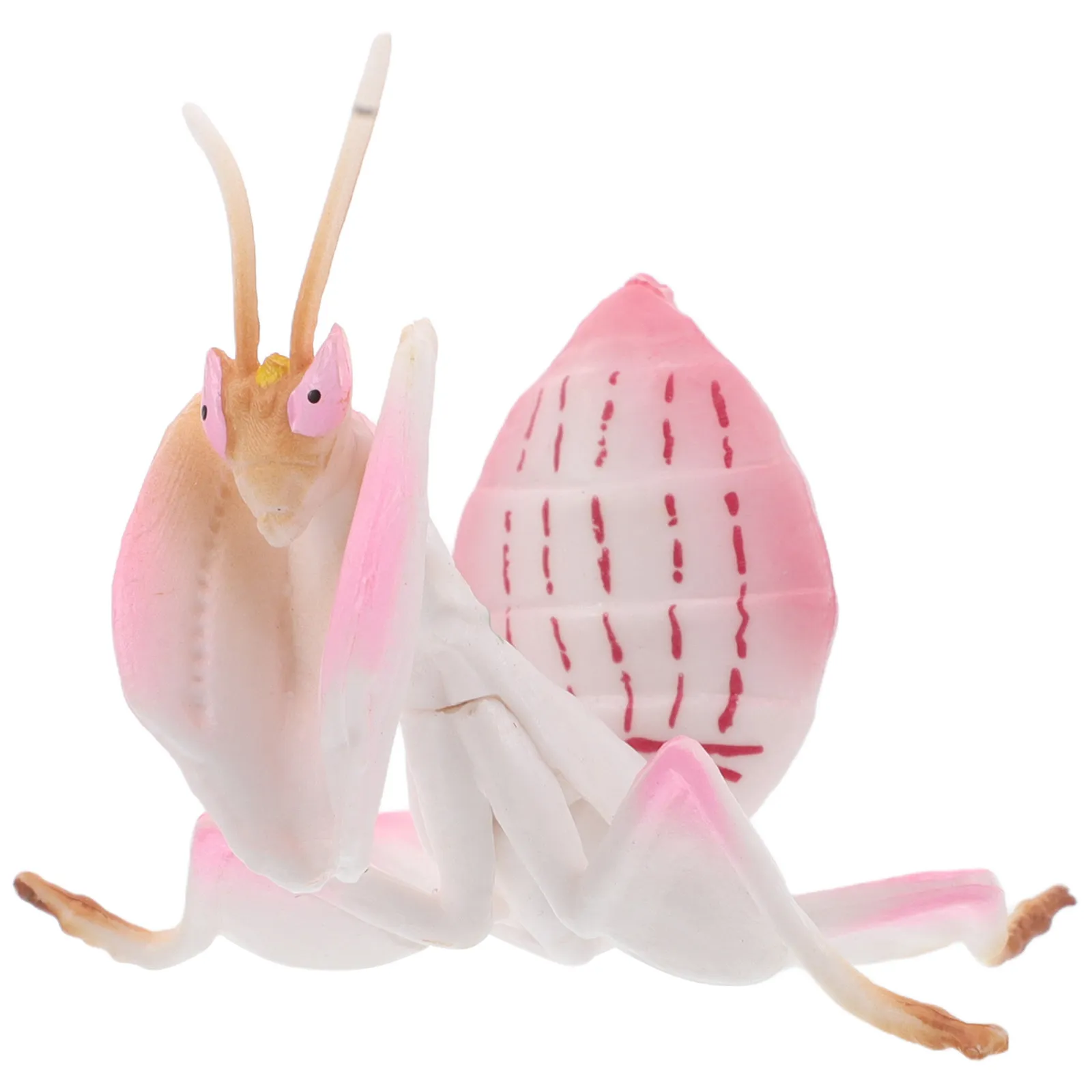 Realistic Mantis Si…