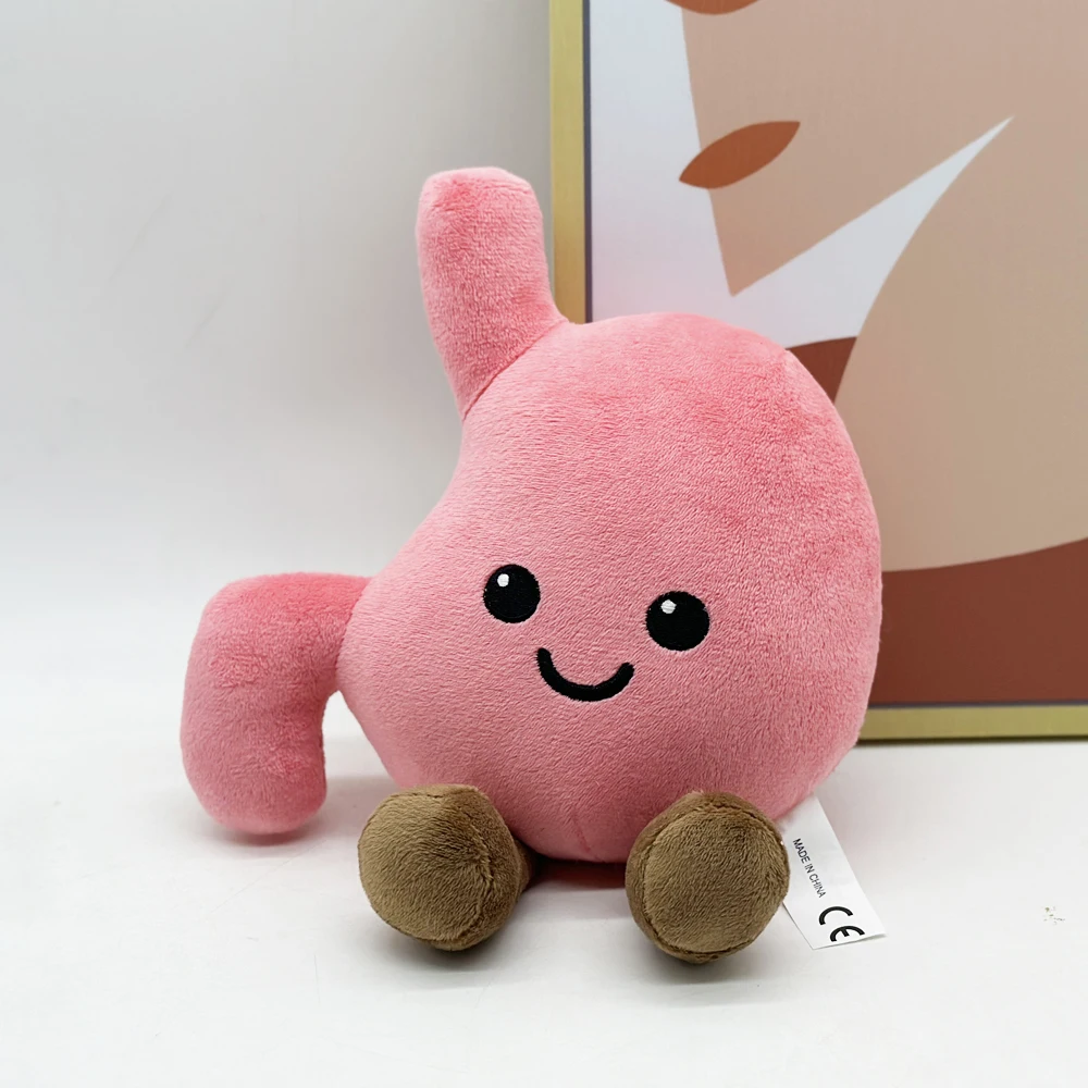 Cute organ plush toy simulation stomach,fun plush toy plush gift,room decoration, boys and girls' birthdays gifts