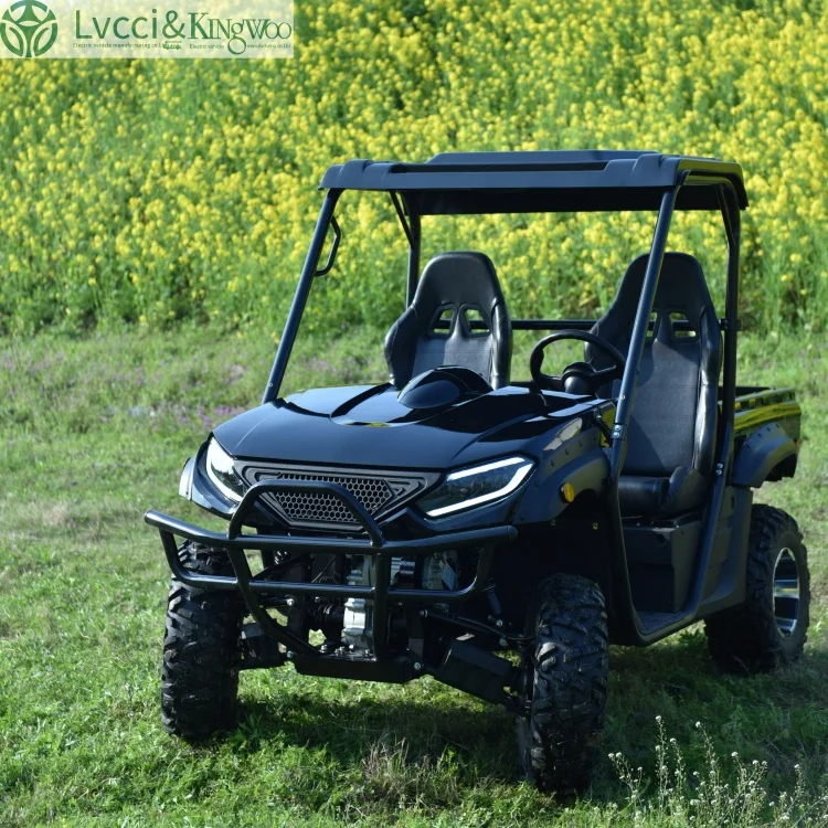 SXLL Hot Sale Kingwoo RUE725 Off-Road High-Power 10.5KW 4x4 Adult Closed Cab Electric UTV 2 Seats Automatic Transmission EEC