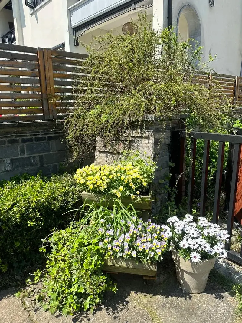 

Carbon Fiber Second Floor Board Plate for Tamiya TT02 TT02B TT-02 TT-02B 1/10 RC Car Upgrade Parts Accessories