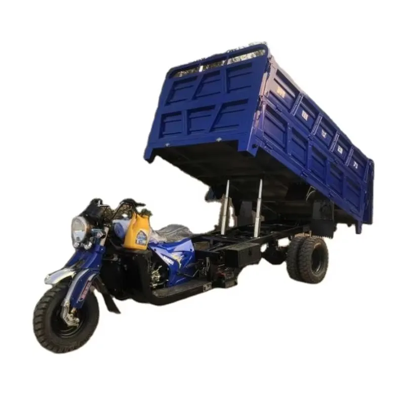 High-Capacity Gas-Powered Three-Wheeler Spacious for Passengers and Cargo Tricycle Electric Tricycle Stainless Steel Three Wheel