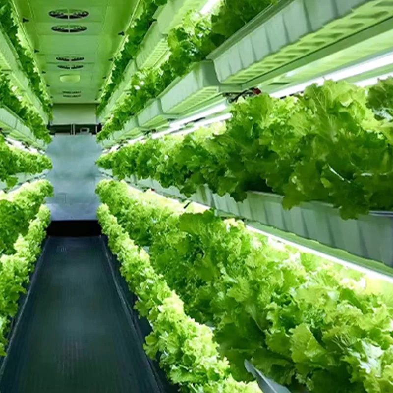 Forniture agricole per irrigazione idroponica acquaponica automatica per giardino domestico Sistema idroponico verticale completo per la coltivazione di verdure