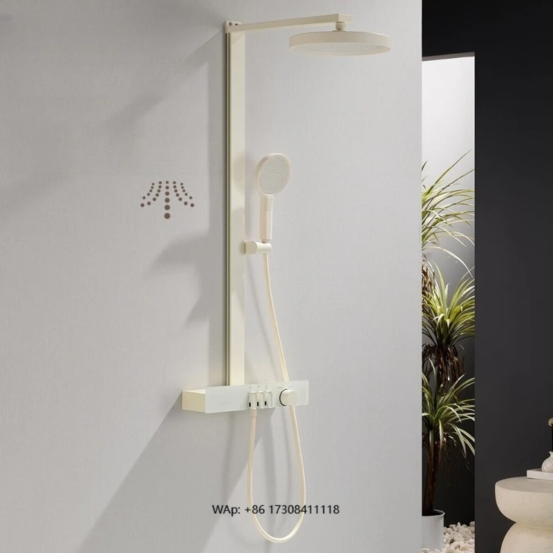 Hotel light luxury  all brass hot and cold hand-held shower set with water mixing valve faucet