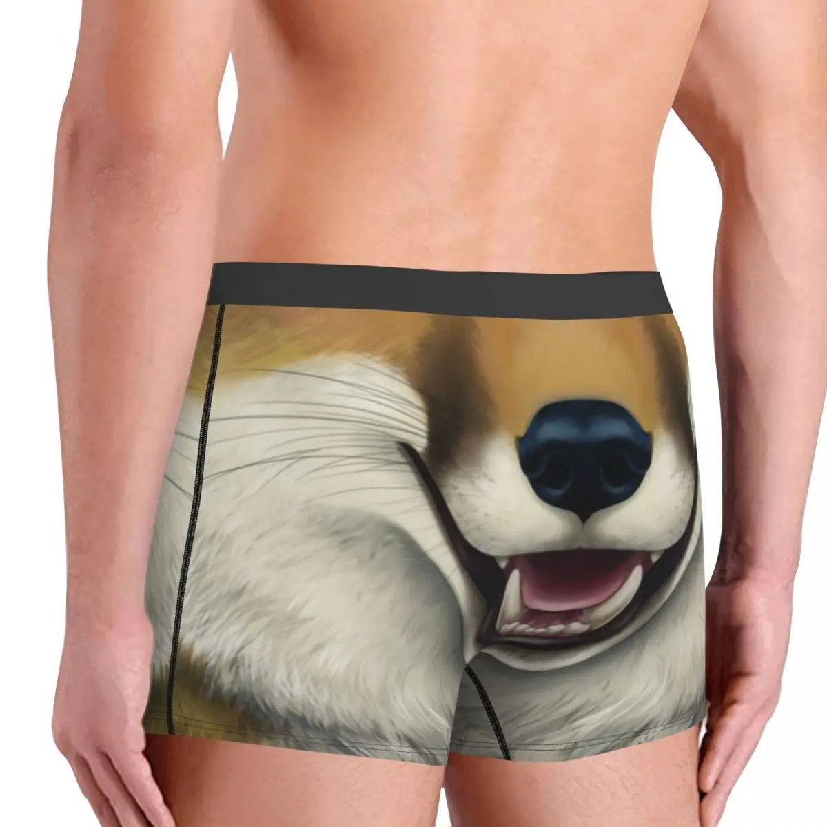 Fox Pattern Boxer Shorts For Men 3D Printed 3D Animal Print Underwear Panties Briefs Soft Underpants