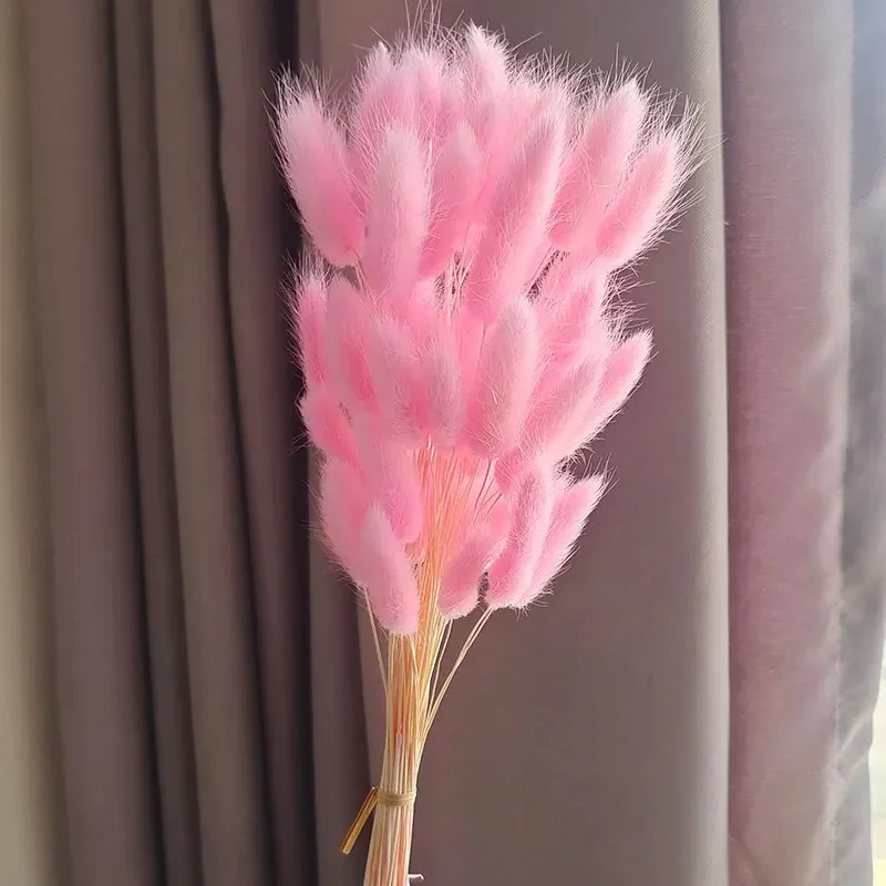 Variant: Pink