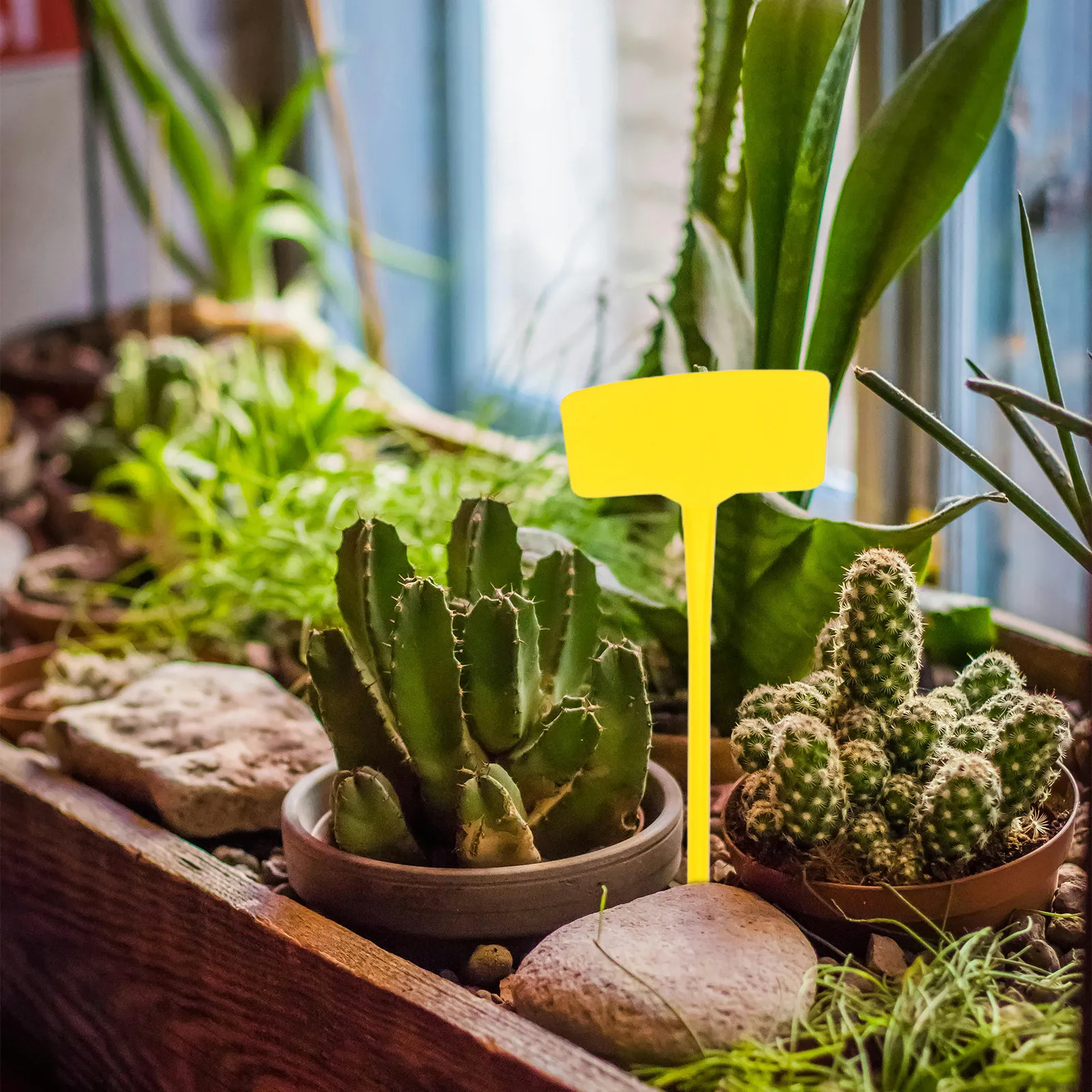 10Pcs Garden Label Stakes Plastic Weather-Resistant Plant Tags for Outdoor Garden Markers Herb Flower Vegetable Labeling