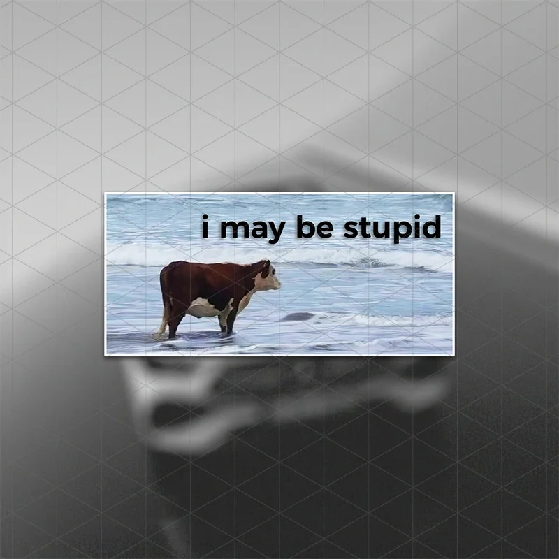 ملصقات سيارات روح الدعابة "يمكن أن أكون غبيًا" ذات طابع البنزين - ملصقات باب روح الدعابة للسيارات والشاحنات والشاحنات والشاحنات #3