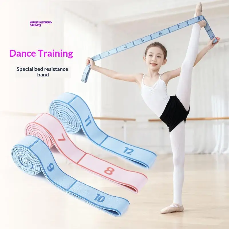Fitness Enthusiasts Resistance Bands 8/12 Elastic Levels for Yoga Arm Shoulder Training Home Gym Portable Workout Gear
