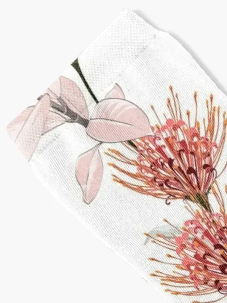 Australian flower banksia pattern lover Socks valentine gift ideas colored cycling Thermal man winter Socks Woman Men's