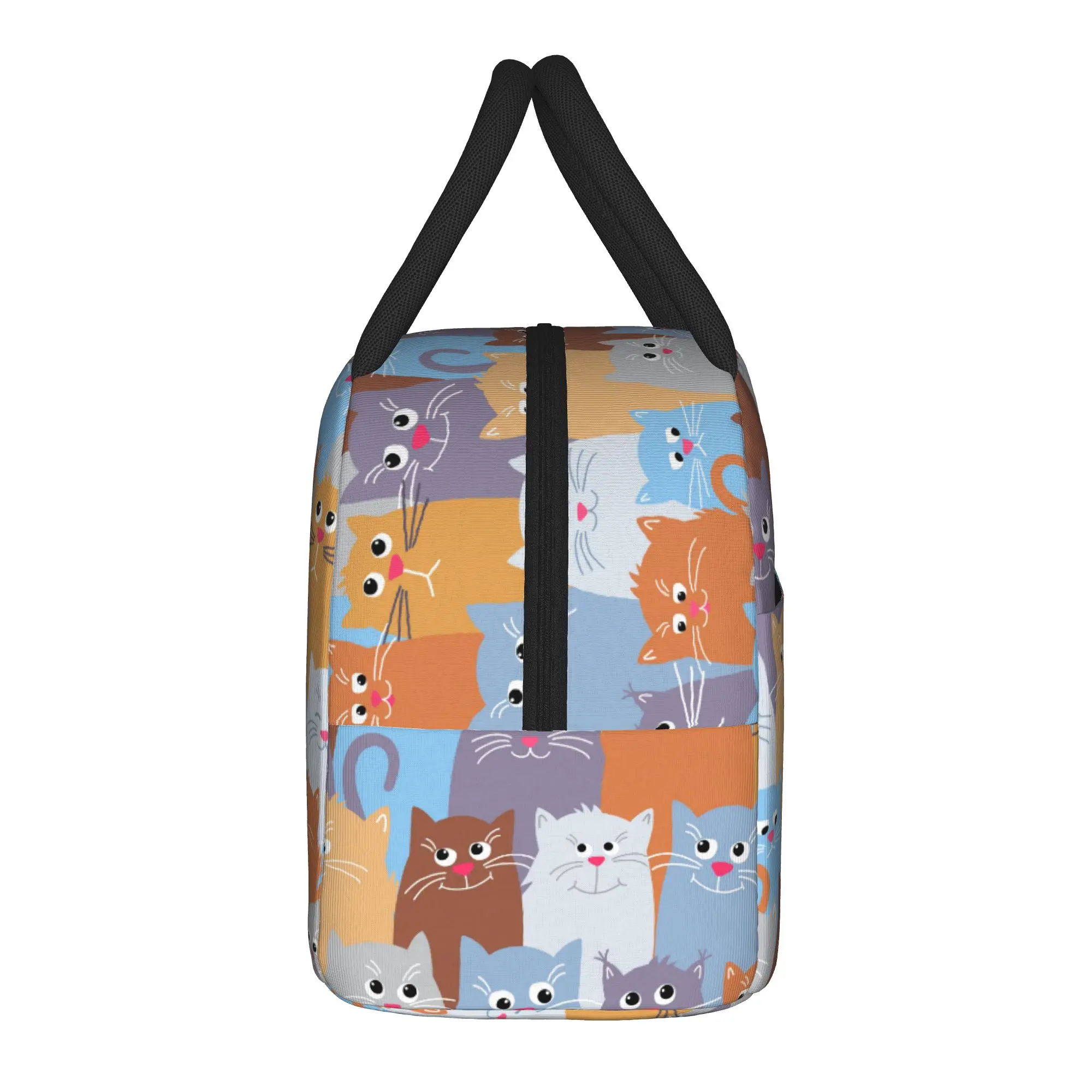 Cat Pattern Lunch Bag Colorful Funny Animal Picnic Lunch Box For Unisex Leisure Print Thermal Lunch Bags Insulated Cooler Bag