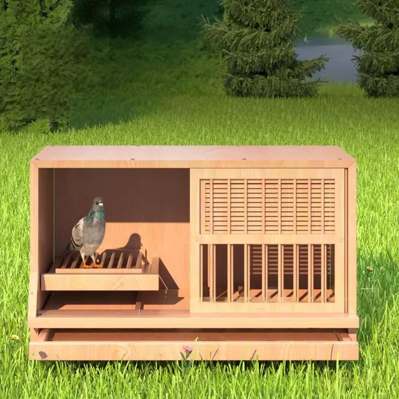 Pigeon Nest Box Combination Saifei Breeding Pigeon Cage Matching Cage   Large Nest Wooden Classic Outdoor Rectangle