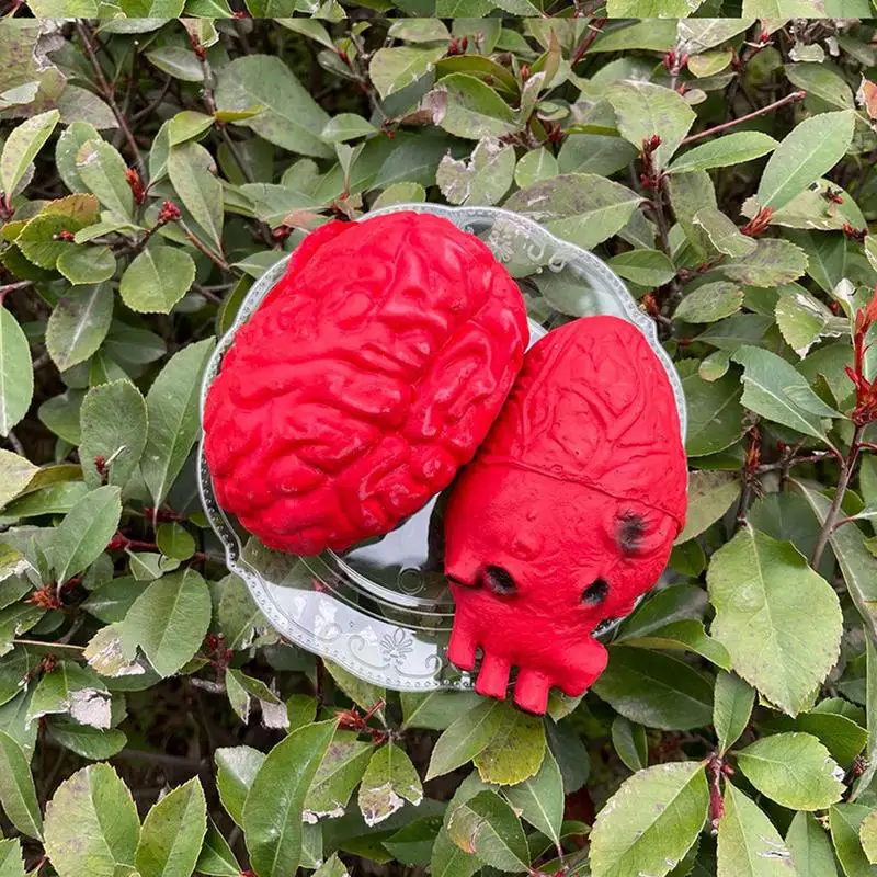 Realistic Heart Prop Brain Heart On A Plate Design Scary Bloody Organ Creepy Bloody Prop Simulation Heart Ornament Simulation