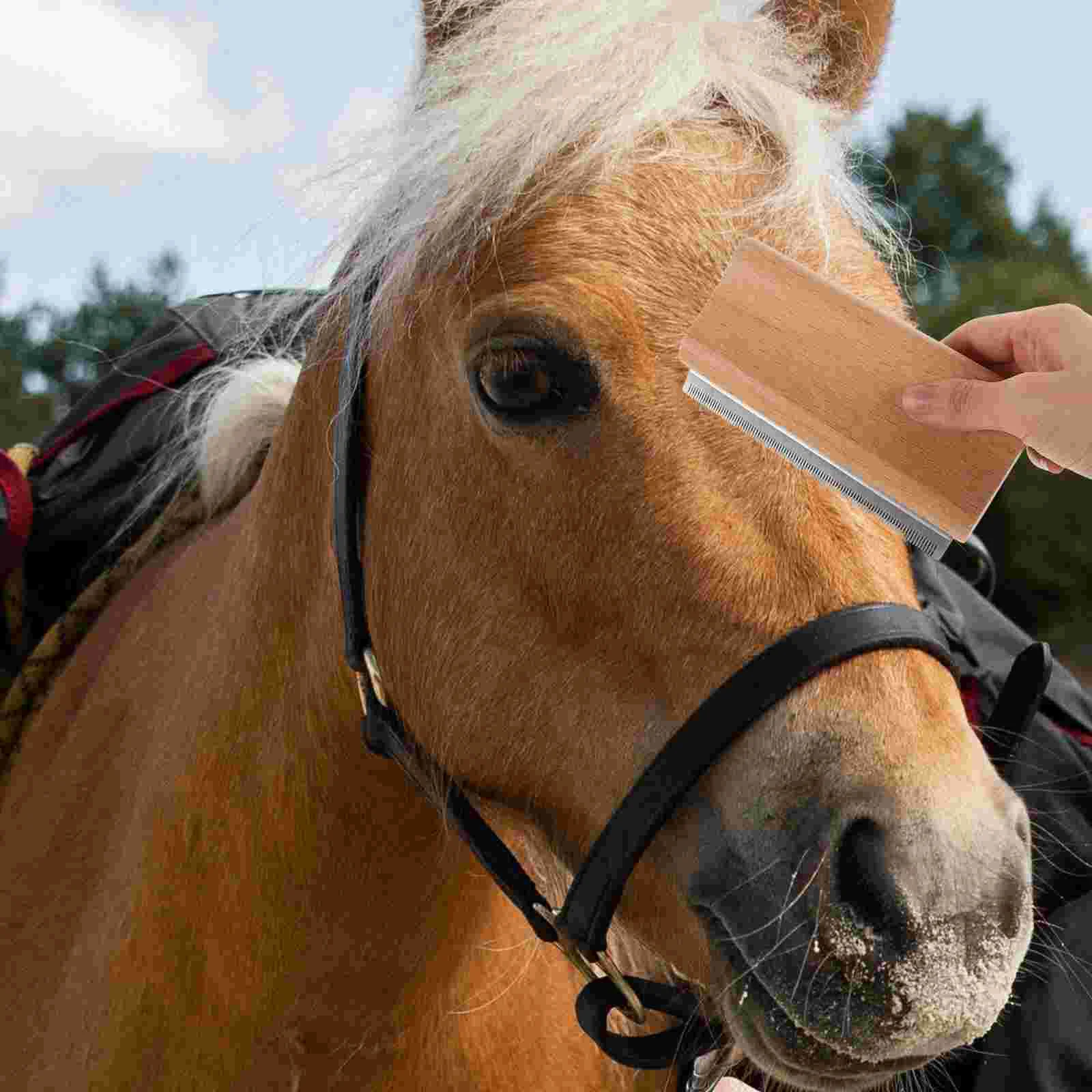 Peine para depilación de mascotas, cepillo de limpieza para el cuidado de caballos, crin de ganado, novio de acero inoxidable