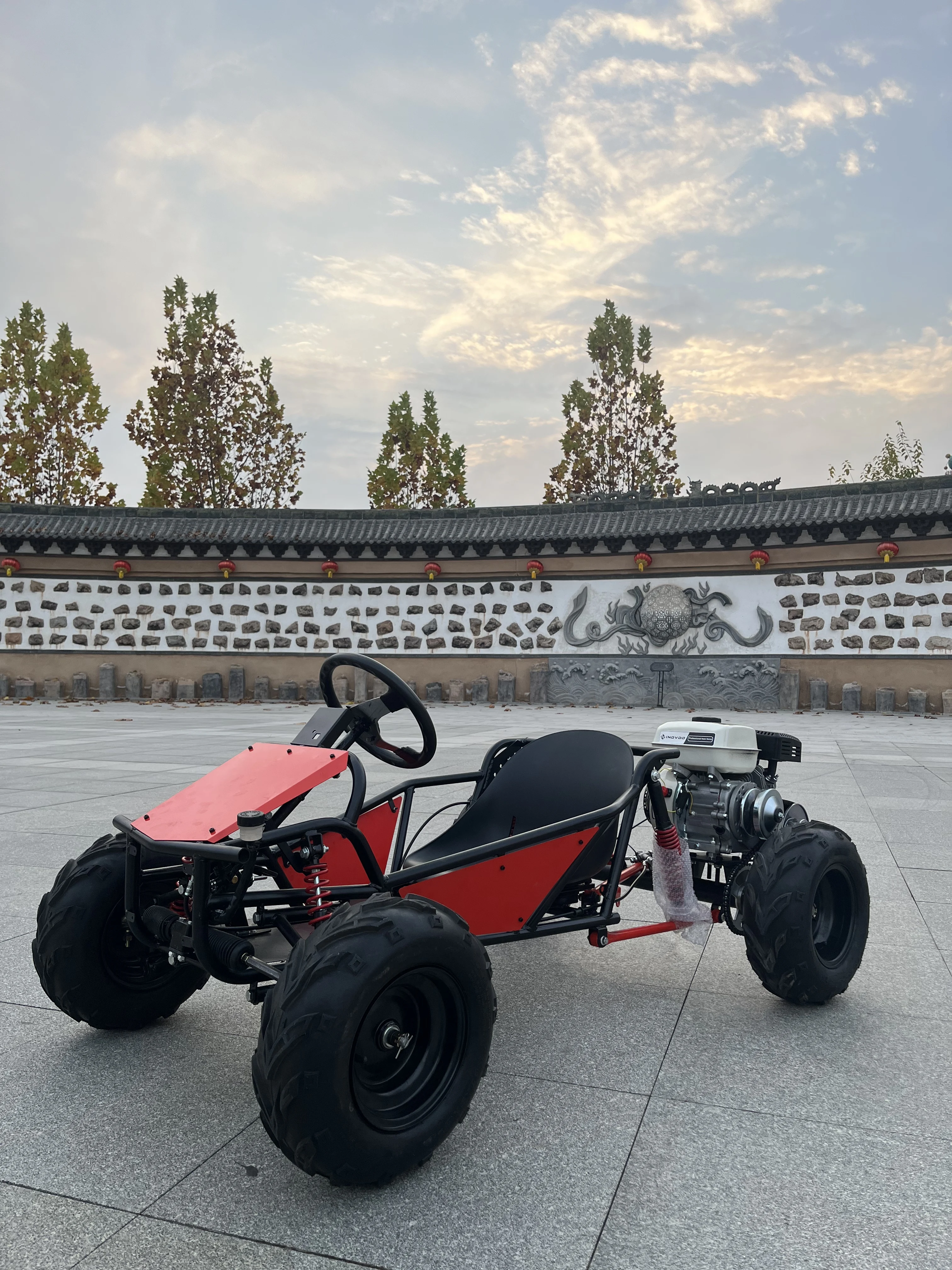 

Steering Wheel Gas-Powered 212cc 4-Stroke 8-inch All-Terrain Off-Road Outdoor Mountain Kart Long-Range Children And Adults Kart