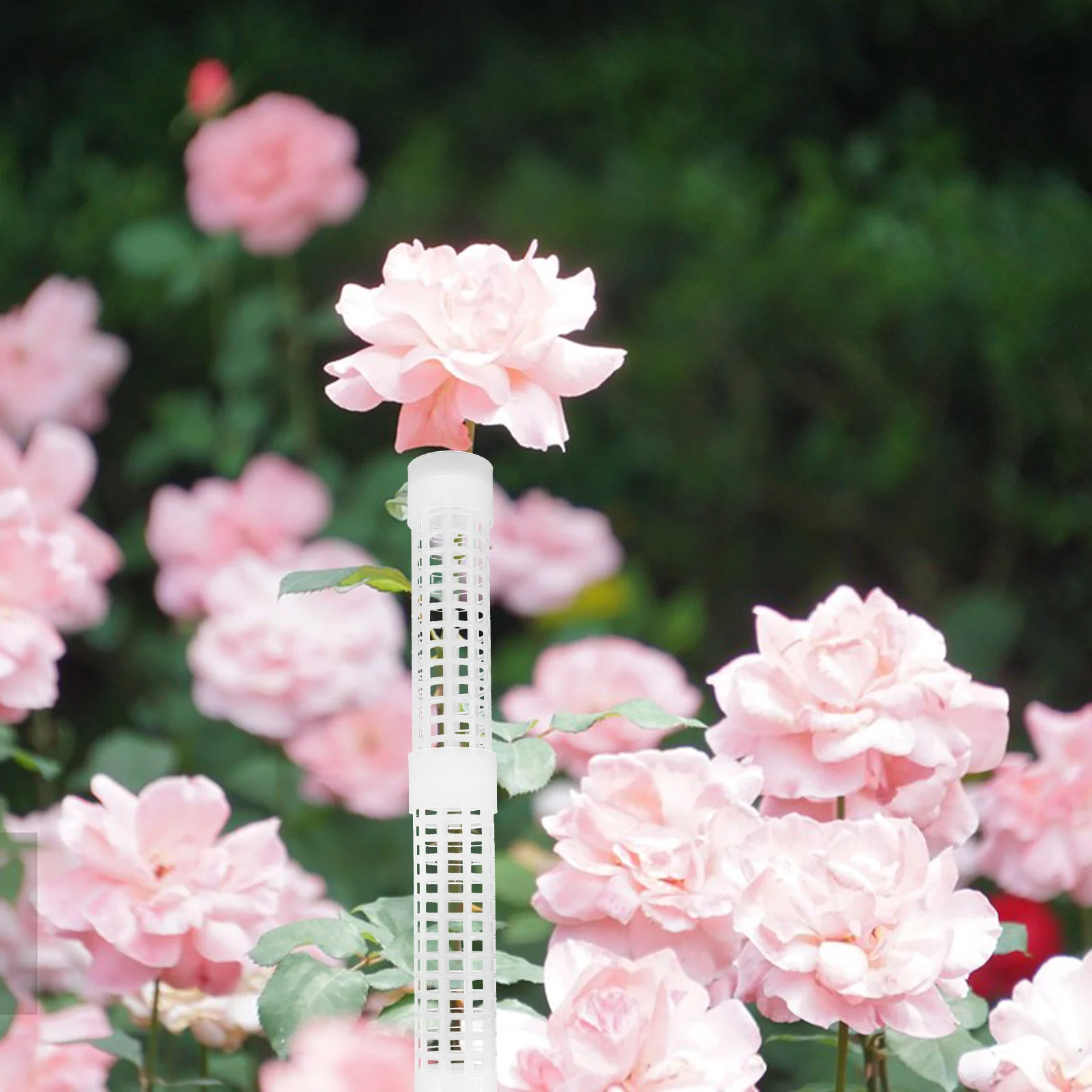 

2Sets Moss Poles Support Climbing Plants Plastic Stakes Indoor Trellises Vine Column Easy to Use Moss Pole Flower Pole