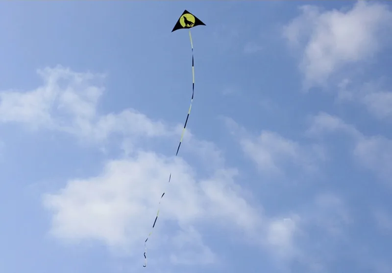 Frete grátis grande lobo pipa voando para crianças pipas de vento adultos pipas corda linha parapent cerf parapente parplan brinquedos ao ar livre