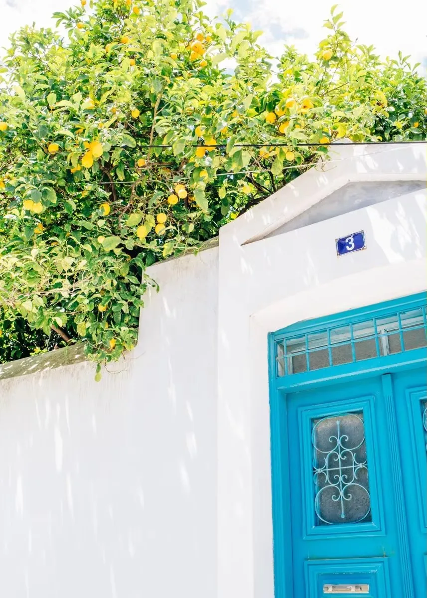 Santorini Greece Island and The Aegean Sea Landscape Olive Tree Print Art Canvas Poster Wall Picture for Living Room Home Dec