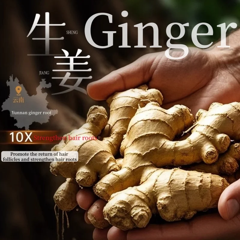 Ginger Polygonum Multiflorum Solid Hair Shampoo 500ml Deep Oil Control Strong Hair Roots Long-lasting Fragrance Shampoo