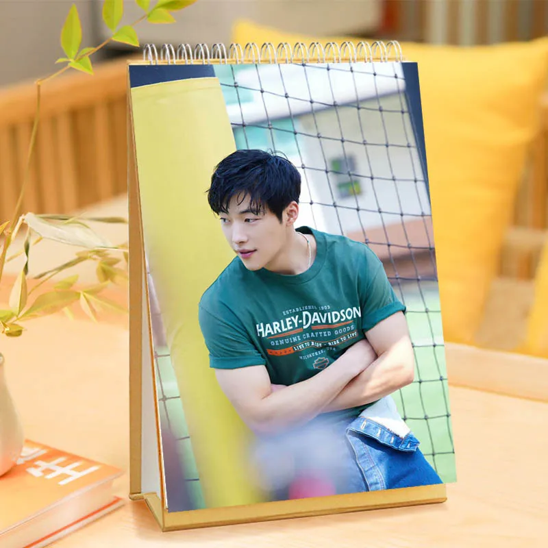 2025Year Woo Do-hwan 13pages Desk Calendar Planner Desktop Ornaments Decoration