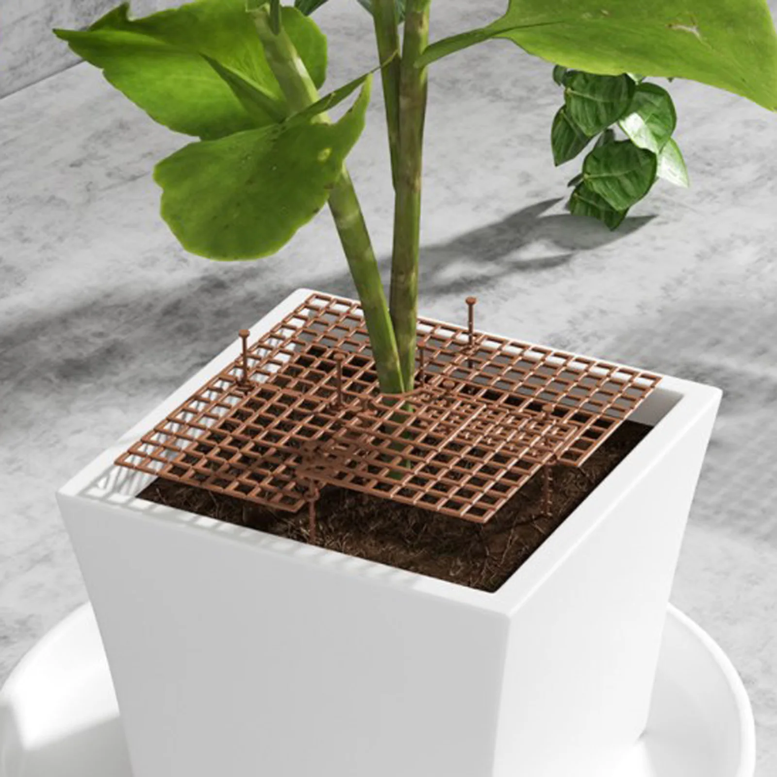 Plant Pot GridFlower Pot Soil Guard Cover Cuttable Flower Pot Protector For Indoor Plants Garden Cover Grid Frame To Protect image 3