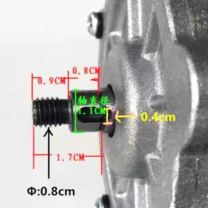 My1016Z2-Pasten DC DC-Zahnradmotor, elektrischer Dreiradmotor, Fahrradmotor, 250 W, 12 V, 24 V 10 Hauptverkaufs -Elektromotor für Dreirad - №9