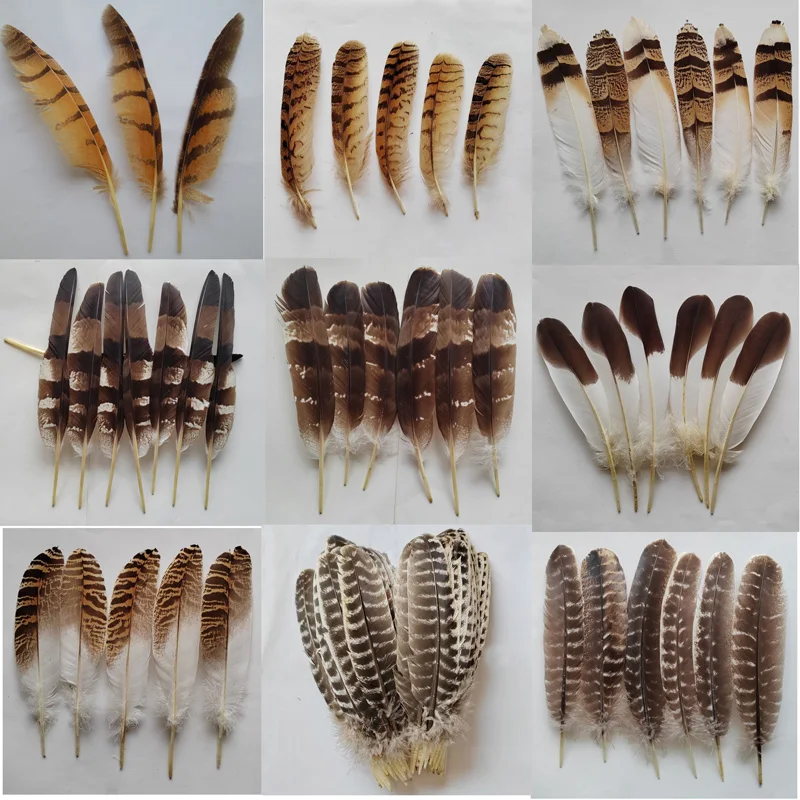 

10Pcs/Lot Natural Eagle Feathers for Crafts Plume Headdress Accessories Holiday Decoration Carnival Feather DIY Handicraft Decor
