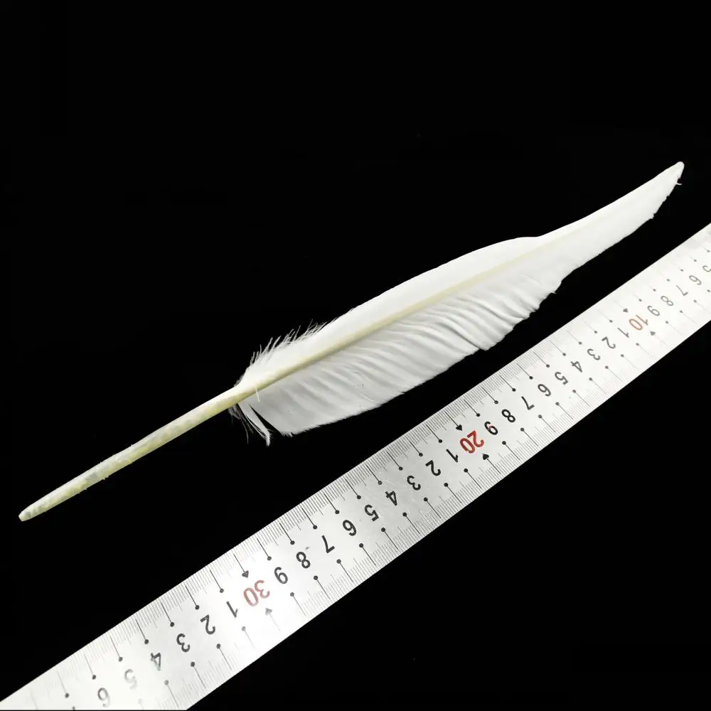 10-100pcs Turkey Feather 14-16inch Plumes Pointers Quill Large Feathers for Fashion Decorations