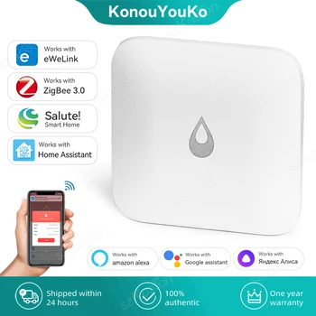 EWelink APP Zigbee 3.0 Immersion Sensor สมาร์ทน้ํารั่วเครื่องตรวจจับการตรวจสอบระยะไกลเซ็นเซอร์น้ําท่วมสําหรับ Home Assistant Alice