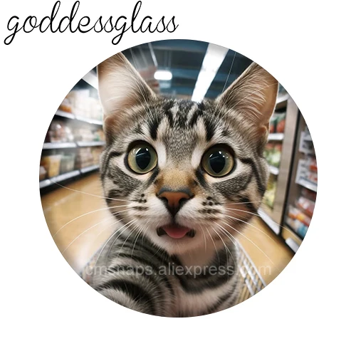 مضحك القط الوجه جميل الحيوانات الأليفة الحب القطط 10 قطعة 12 مللي متر/18 مللي متر/20 مللي متر صورة مستديرة الزجاج كابوشون ظهر مسطح صنع النتائج أزرار إطباقية ذاتية الصنع