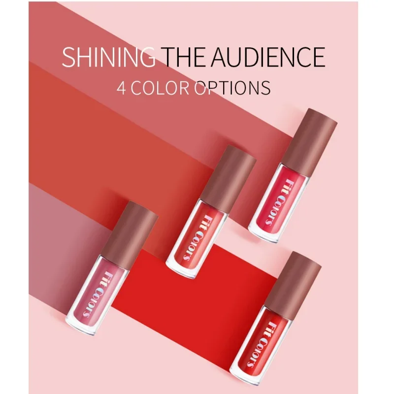 Fit Colors Diamond Shiny Lip Gloss 4szt Nieklejący się matowy zestaw błyszczyków Wodoodporna, odporna na pot, długotrwała pomadka w płynie do makijażu