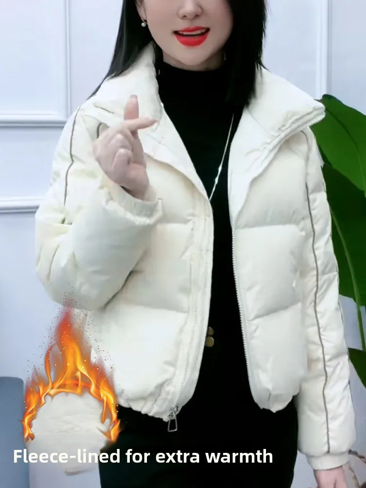 여성용 테이니드 페이스 라이닝 다운 코튼 재킷 겨울용 따뜻한 아우터웨어 스탠드 칼라 지퍼 클로저 롱 슬리브 한국 스타일