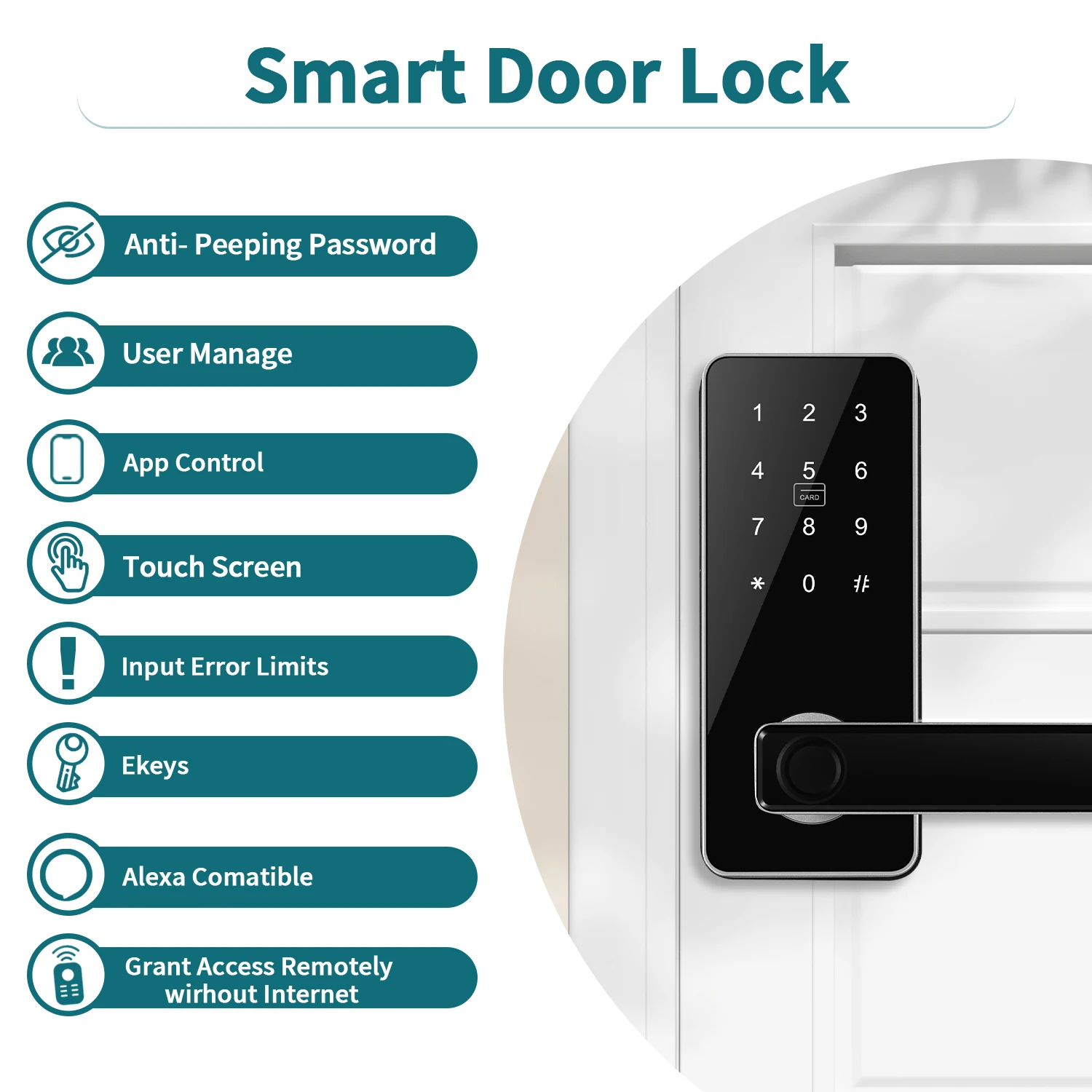 Smart Door Lock Digital Electronic Lock with Code Passcode, Electric Door Knob, Biometric Handle,  Bedroom Doors