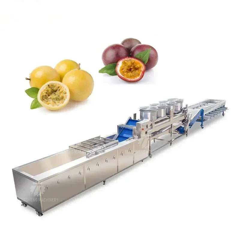 Línea de Producción Automática de Jugo de Manzana, Máquina de Lavado, Secado y Clasificación de Limón, Kiwi y Durazno, Línea de Producción de Cebolla Deshidratada