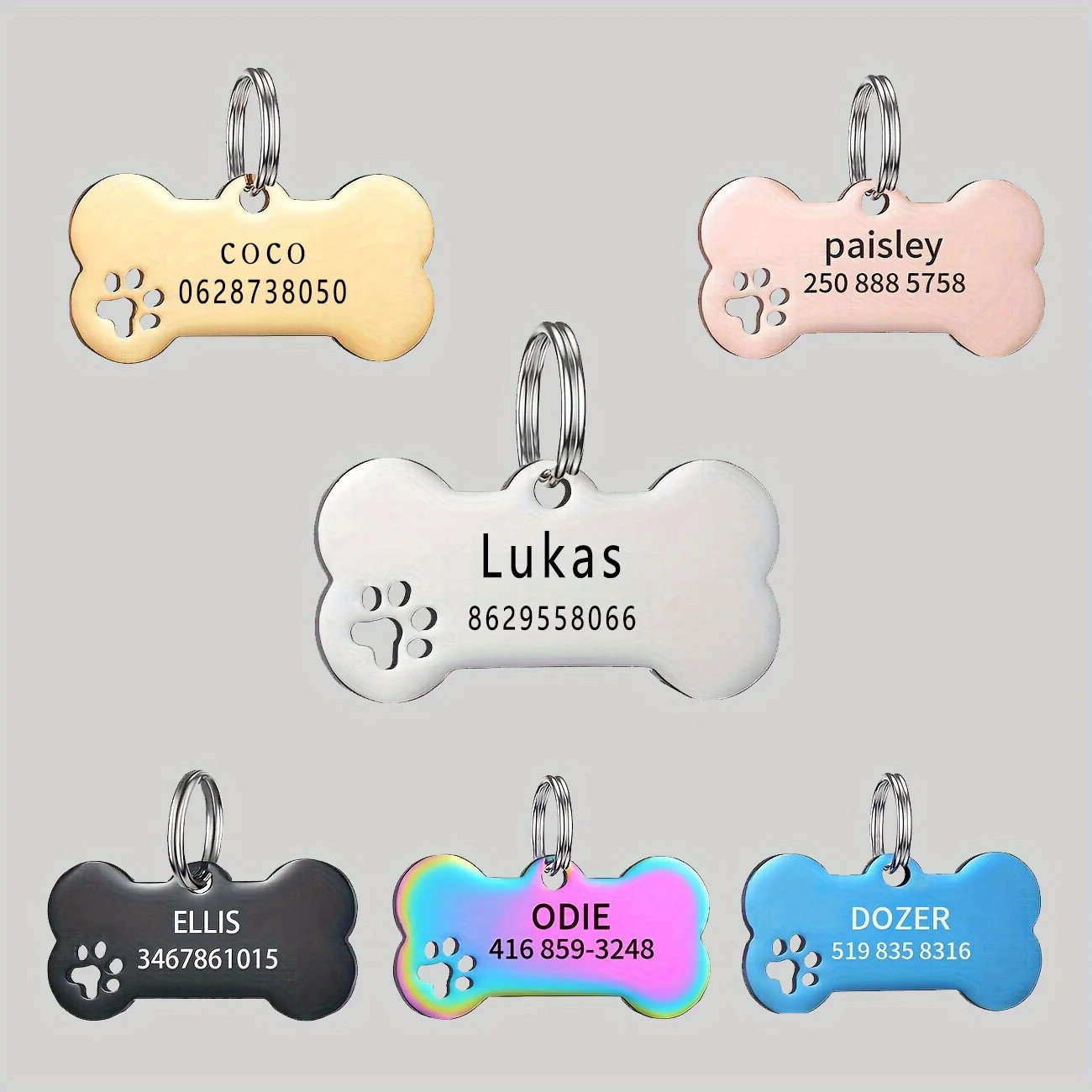 Plaque d'identification personnalisée en acier inoxydable pour chien, anti-perte, gravée sur mesure, nom de l'animal, collier pour chiot, étiquettes en forme d'os pour chien et chat, accessoires pour animaux de compagnie