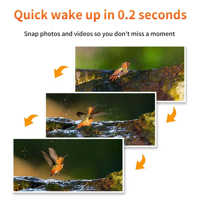 2K 4MP HD الشمسية الحياة البرية كاميرا تعقب للرؤية الليلية 4G 4 واط مقاوم للماء الأبيض فلاش فيديو سحابة بطاقة SD إبقاء الحرس صيد الحيوانات