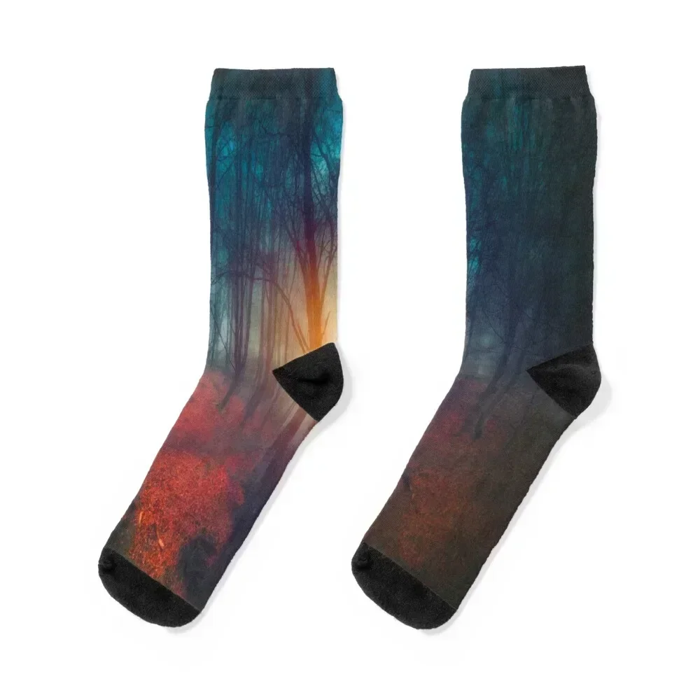 

cries and whispers Socks designer crazy floor Antiskid soccer Male Socks Women's