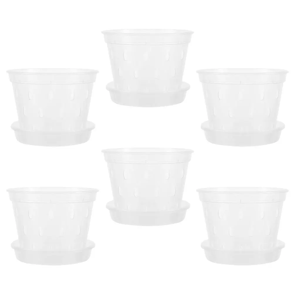 

6Sets Transparent Slotted Orchid Plant Pots with Ventilation Holes for Healthy Root Growth Suitable for Nursery Home Hotel