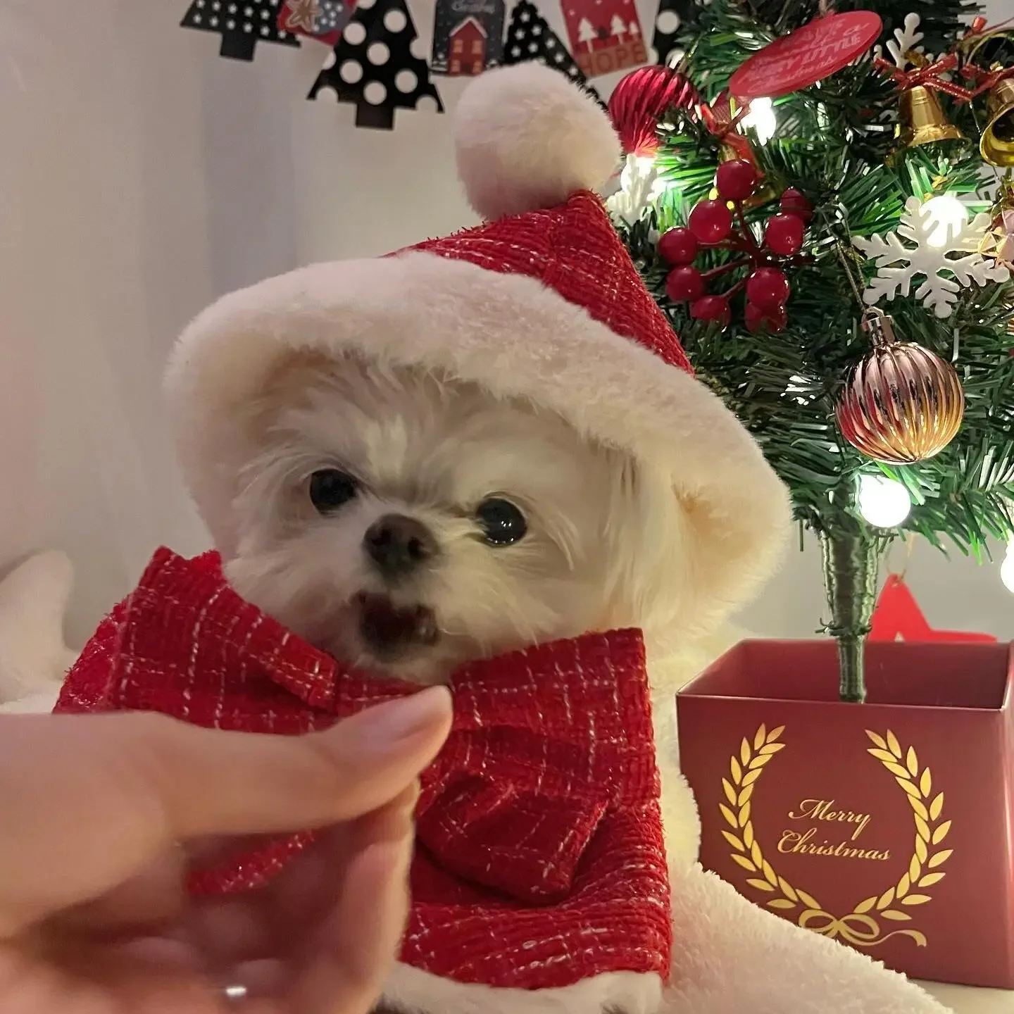 Pet Christmas Hooded Cape Pet Christmas Costume Cloak Funny And Cute Plush Dog Hooded Cloak Of Small Medium Sized Dog For Home