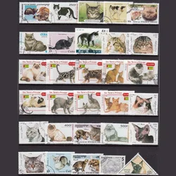 Post Stamps Collection Of 50 Different Cats Real Stamped Stamps Pet Animals Postage Stamps Collecting For Scrapbooking Materials