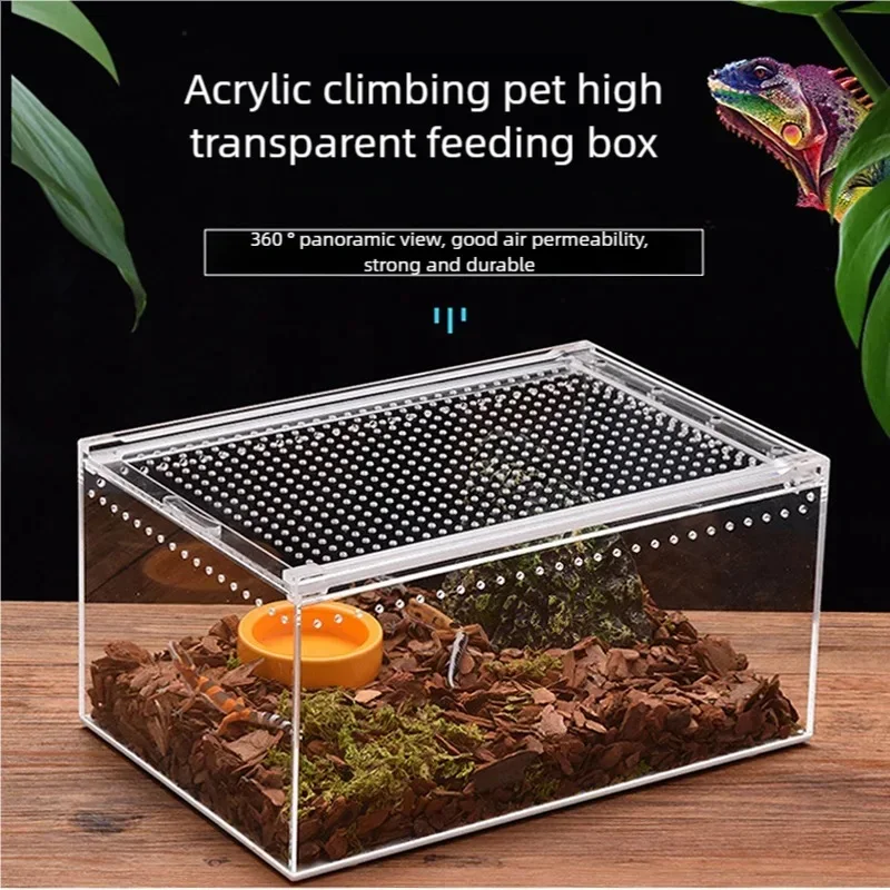 Acrylic Climbing Pet Feeding Box 3
