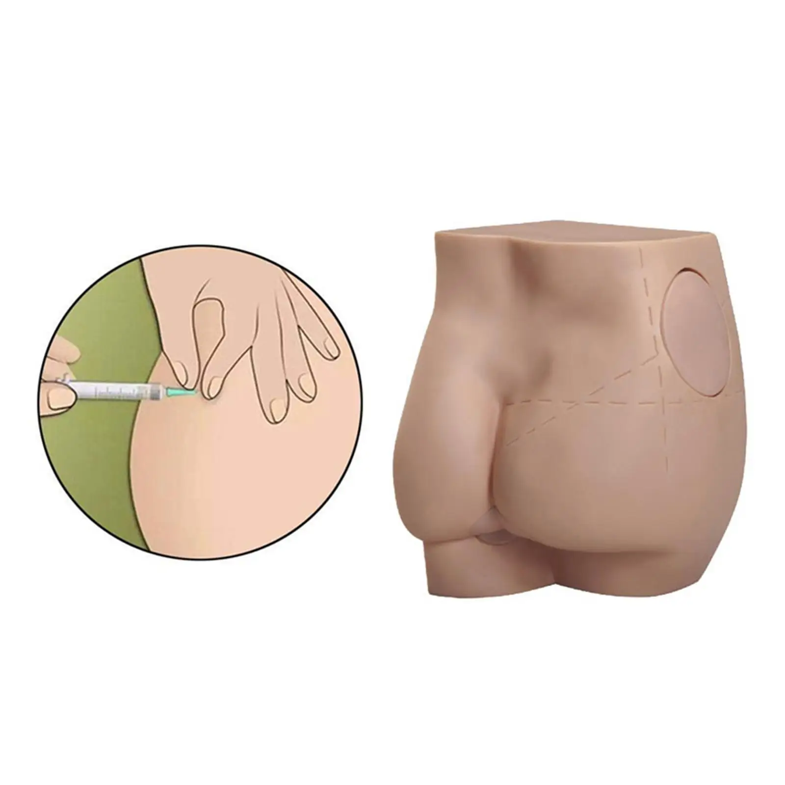 3D Buttock Injection Practice Model Laboratory Kits for Teaching Material